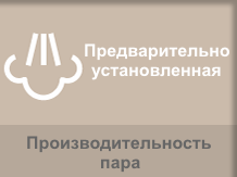 Lelit PGAUT05/220 имеет предварительно установленную производительность пара.