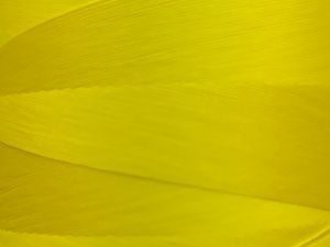 Нитка текстурированная крученая Euron E 150/1 №180 5000м (2107)