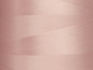 Нитка текстурированная некрученая Euron U 150/1 №180 5000м (2149)