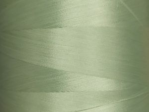 Нитка текстурированная некрученая Euron U 150/1 №180 5000м (2273)